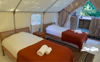 Luxury Safari Tent-Double Occupancy