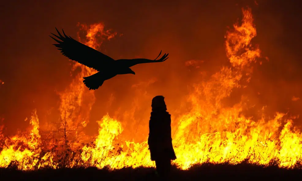 Fire Ceremony for Eagle Wisdom